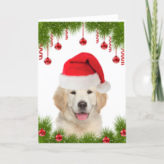Festivals Golden Retriever Niedliche Weihnachten