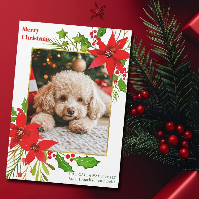 Festivals Hund Foto Red Christmas Poinsettia Magne Magnetkarte (Von Creator hochgeladen)