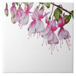'Festive Fuchsias' auf der Keramik Tile Fliese