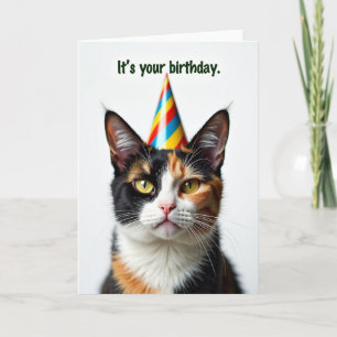 Festive Katzenmütze Geburtstagskarte Karte