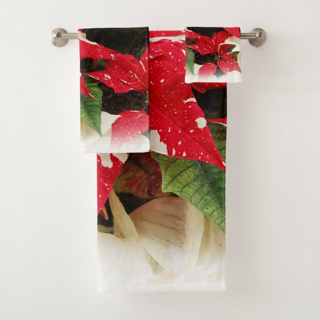 Festive Rouge Blanc Floral Poinsettia Fleurs (En situation)