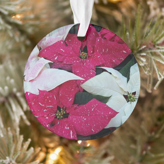 Festive vacances Poinsettias Floral (Arbre)