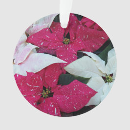 Festive vacances Poinsettias Floral