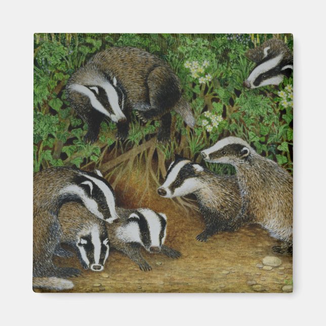 Festlegen Magnet (Vorne)