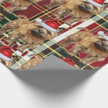 Festlich Kariert Cairn Terrier Dog Lover Weihnacht