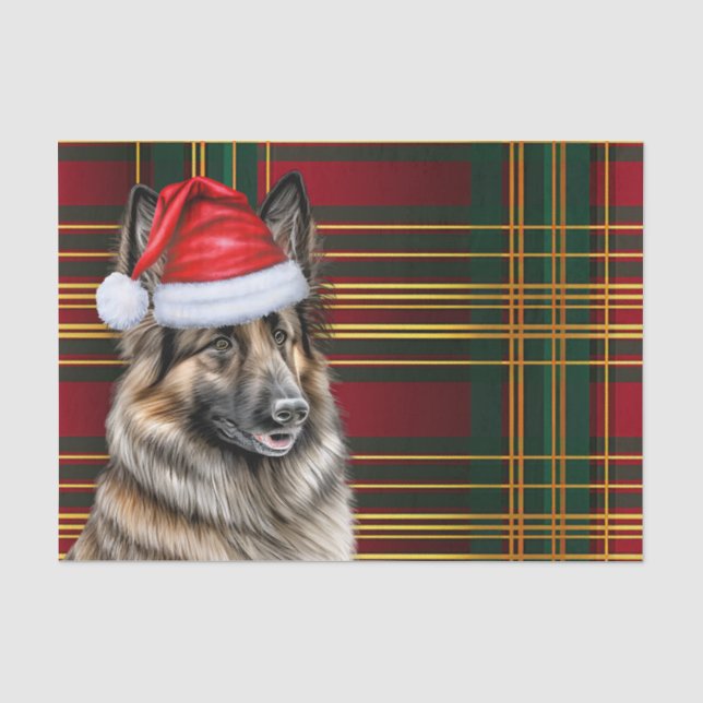 Festliche belgische Tervuren Dog Karierte Weihnach Seidenpapier (Vorderseite)