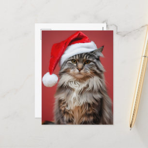 Festliche Maine-Coon-Katze in der Weihnachtsmannmü Feiertagspostkarte