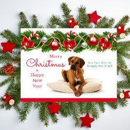 Festliche Rhodesian Ridgeback Weihnachtspostkarte Feiertagspostkarte