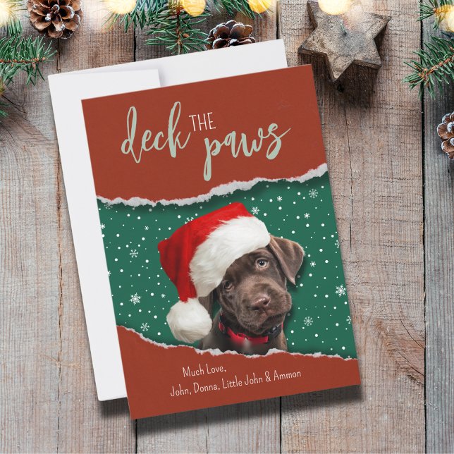 Festliche Schokolade Labrador Weihnachtsmannmütze Feiertagskarte (Deck the Paws card. A dog peeking out of a torn paper, looks so cute and festive! Happy Holidays!)