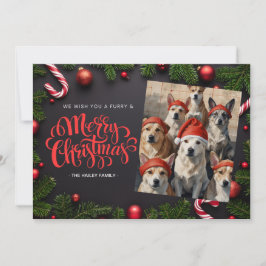 Festliche Weihnachtskarte für Haustiere Foto Feiertagskarte