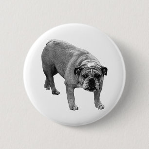 Festliches Bulldog-Button Button