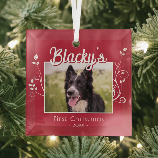 Festliches erstes Weihnachts Welpe Foliage Rotes F Ornament Aus Glas (Insitu)