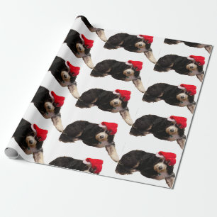Festliches und niedliches Bernedoodrom mit einer W Geschenkpapier