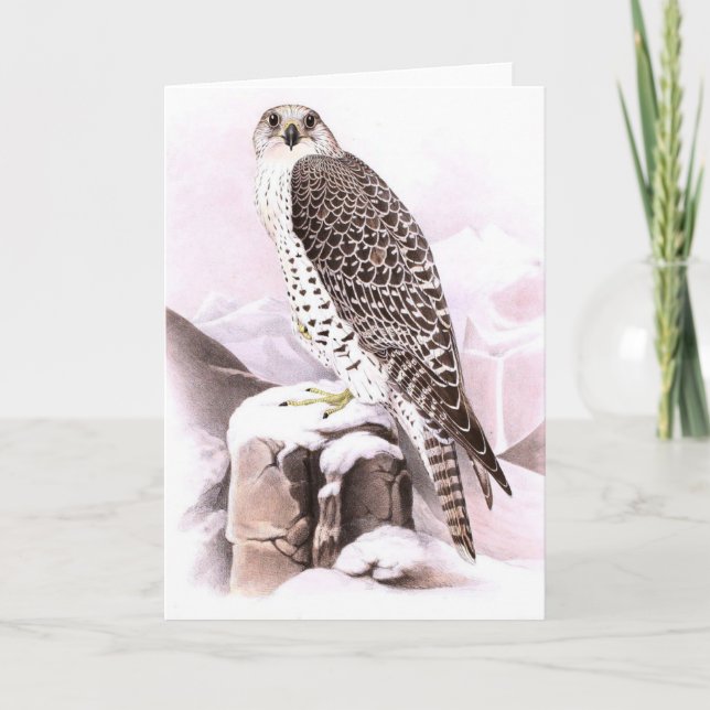 FESTPLATTENBIRD IM SCHNEE (Vorderseite)