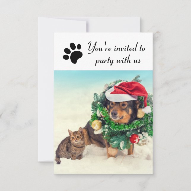 Fête avec les chiens et les chats - Invitation de  (Devant)
