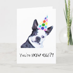Fête d'anniversaire de Boston Terrier - carte