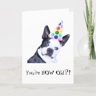 Fête d'anniversaire de Boston Terrier - carte