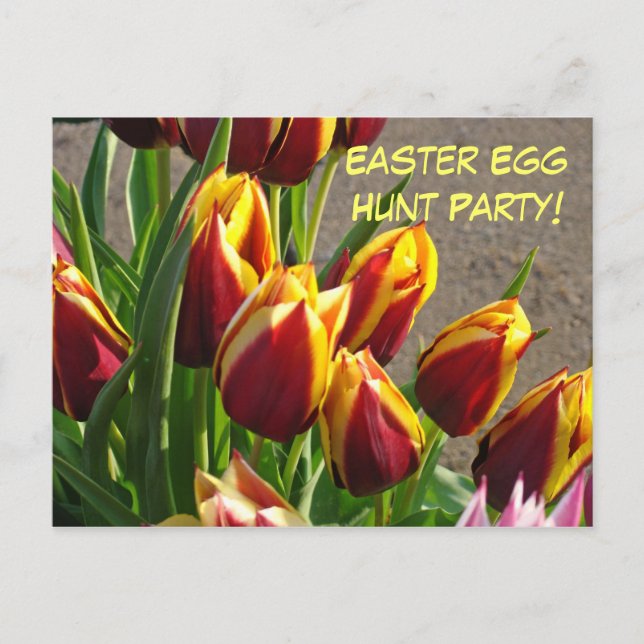 Fête de chasse aux oeufs de Pâques ! Cartes d'invi (Devant)