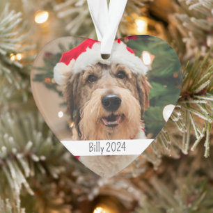 Fête de chien à double face personnalisée Noël