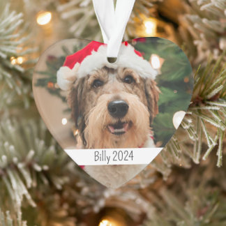 Fête de chien à double face personnalisée Noël