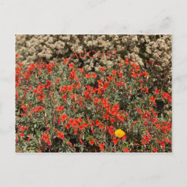 FÊTE DE COULEUR CALIFORNIENNE : AOÛT CARTE POSTALE