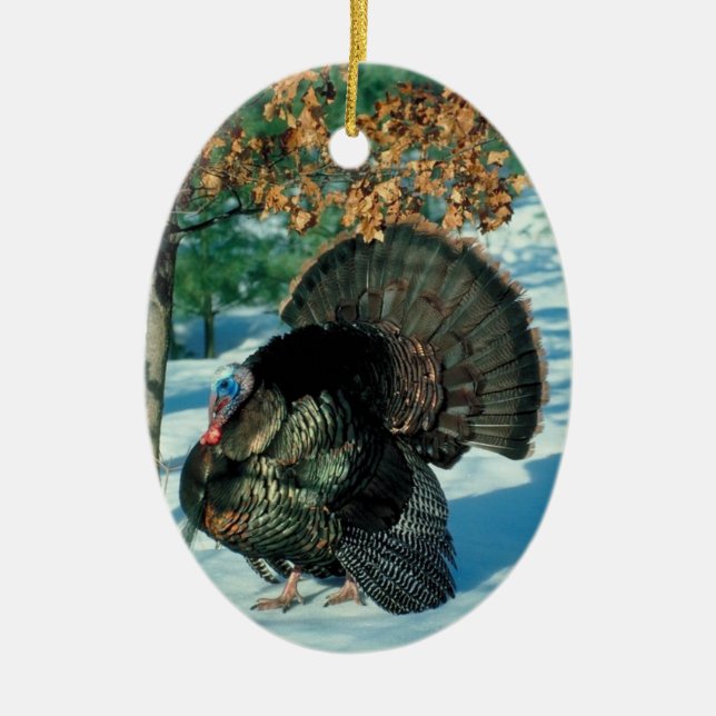 Fête de la Turquie sauvage Décorations de Noël (Devant)