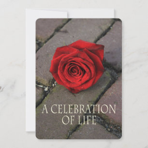 Fête de la vie Invitation