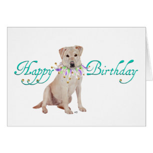 Fête de Labrador Retriever Jaune