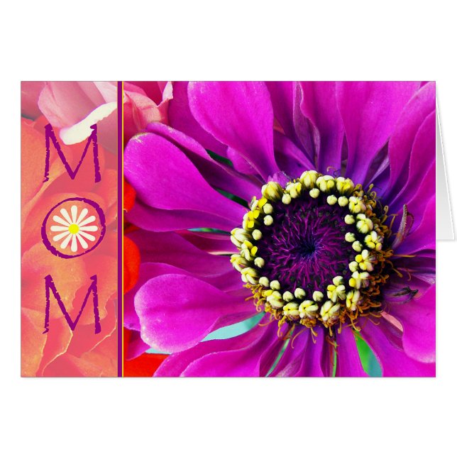 Fête des mères avec la couleur violette Zinnia (Devant horizontal)