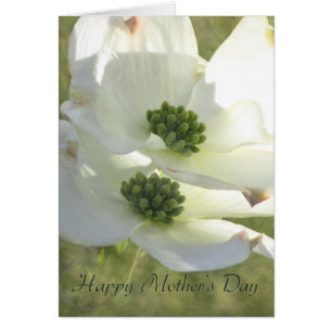 Fête des mères Dogwood