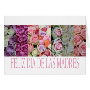 Fête des Mères Espagnoles heureux