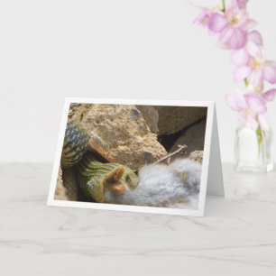 Fête du serpent de Montpellier sur carte de lapin