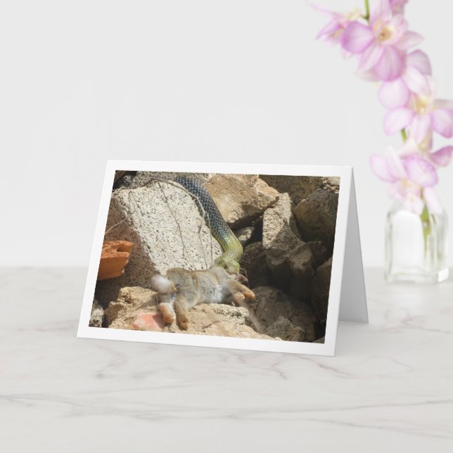 Fête du serpent de Montpellier sur carte de lapin (Orchidée)