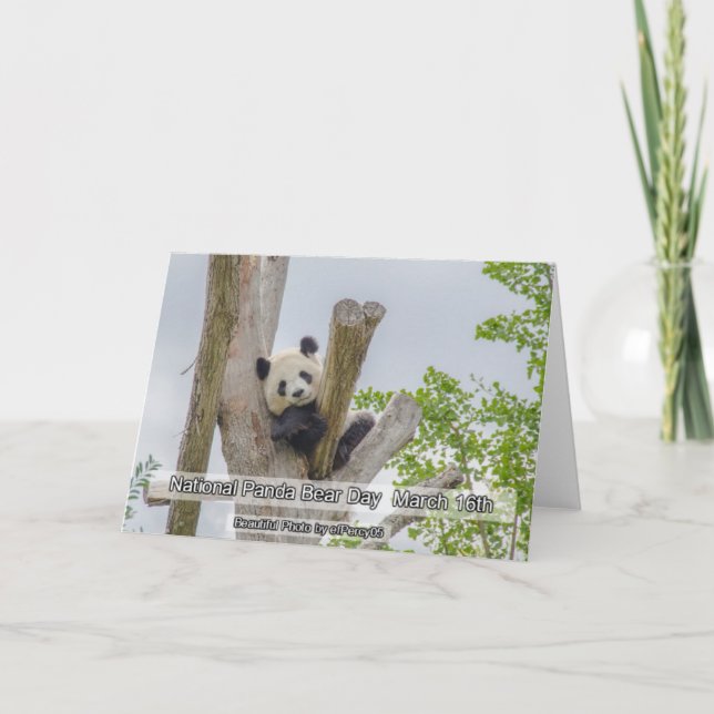 Fête nationale du Panda 16 mars Carte des fêtes an (Devant)