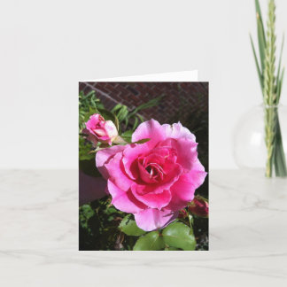 Fêtes Annuelles Cartes pour notes roses