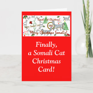 Fêtes Annuelles Enfin les cartes de Noël pour chats somaliens