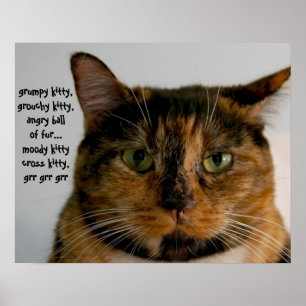 Fett Cat with Attitude, grumpy kitty song Poster
