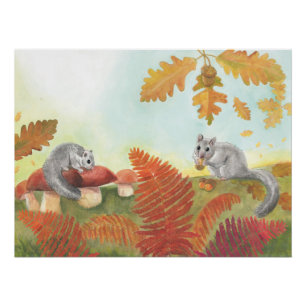 Fett-Dormaus (Glis glis) Poster