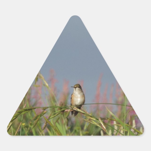 Fett kleiner Hummingbird Dreieckiger Aufkleber (Vorderseite)