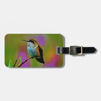 Fett kleiner Hummingbird Gepäckanhänger