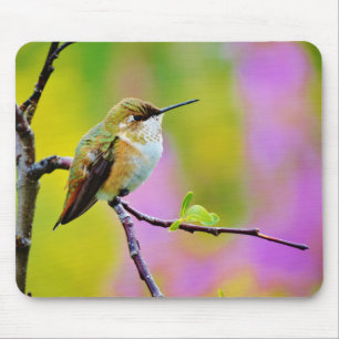 Fett kleiner Hummingbird Mousepad