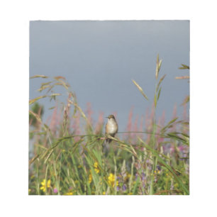 Fett kleiner Hummingbird Notizblock