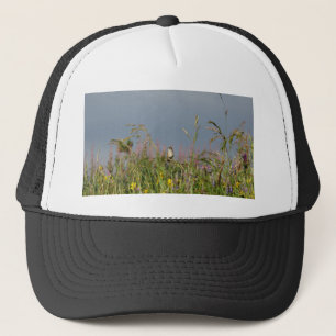 Fett kleiner Hummingbird Truckerkappe