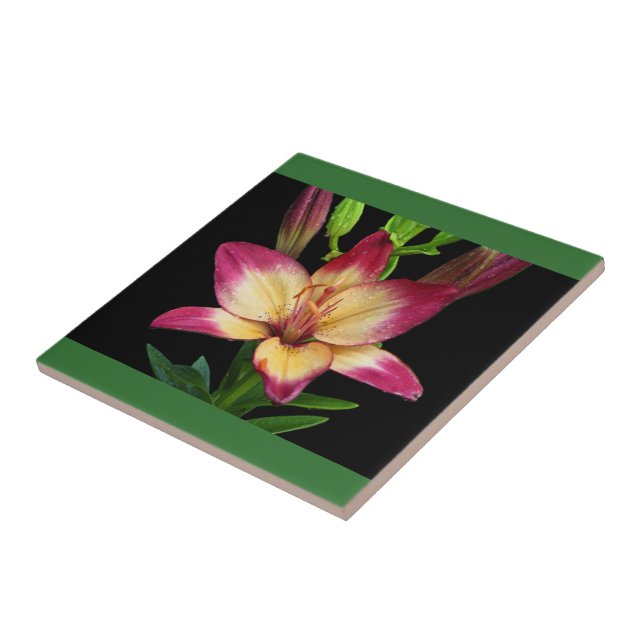 Fette Lilien-Dekorfliese Fliese (Seite)
