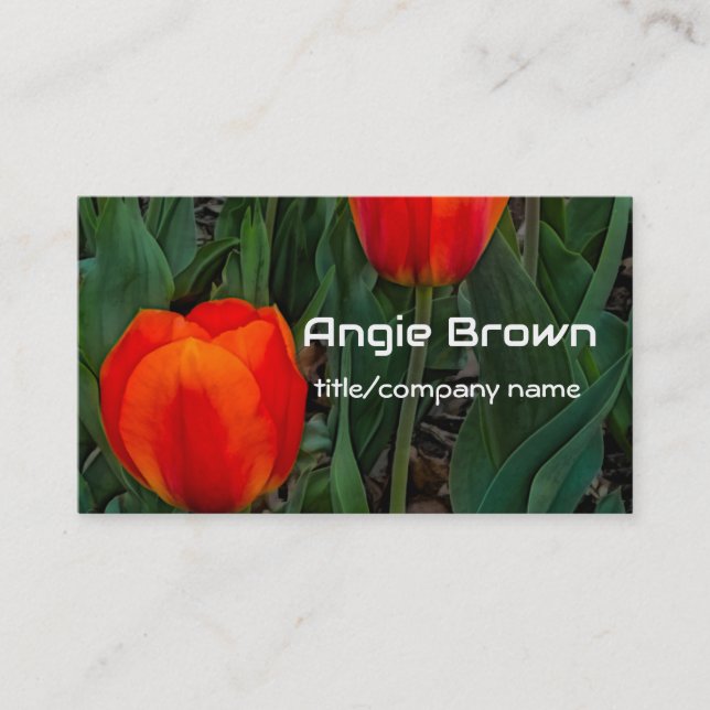 fette rote Tulpen Blumenfotografie Natur Visitenkarte (Vorderseite)