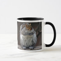 Fettes Eichhörnchen "got Nüsse?" Tasse