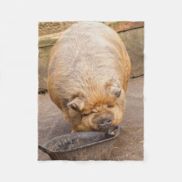 Fettes Schwein Fleecedecke