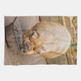 Fettes Schwein Geschirrtuch