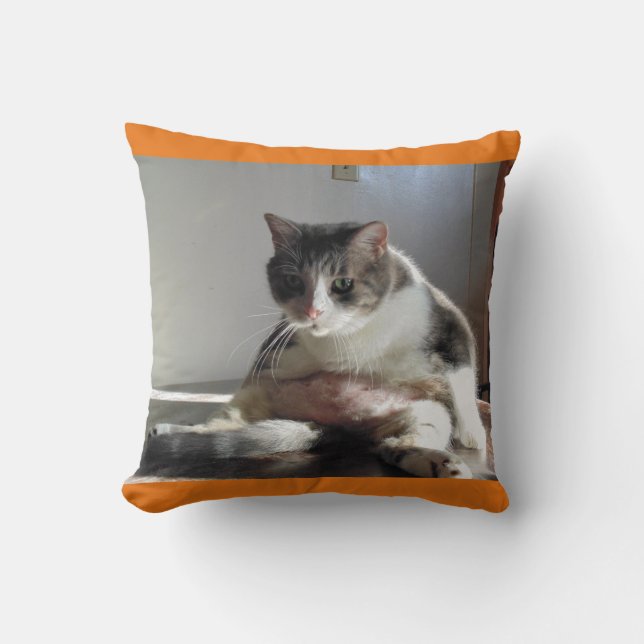 Fettes Tabby-Katzen-Foto auf Kissen (Vorderseite)