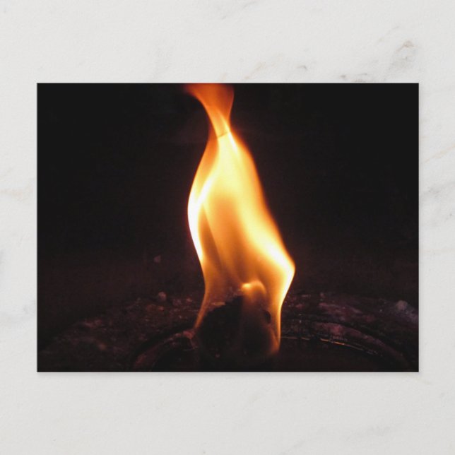 Fettflut Postkarte (Vorderseite)